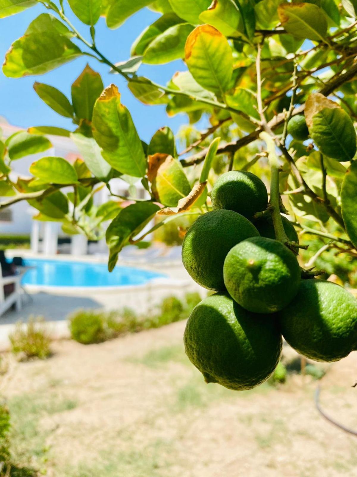Hurghada-Magawish Villa 1 Екстер'єр фото
